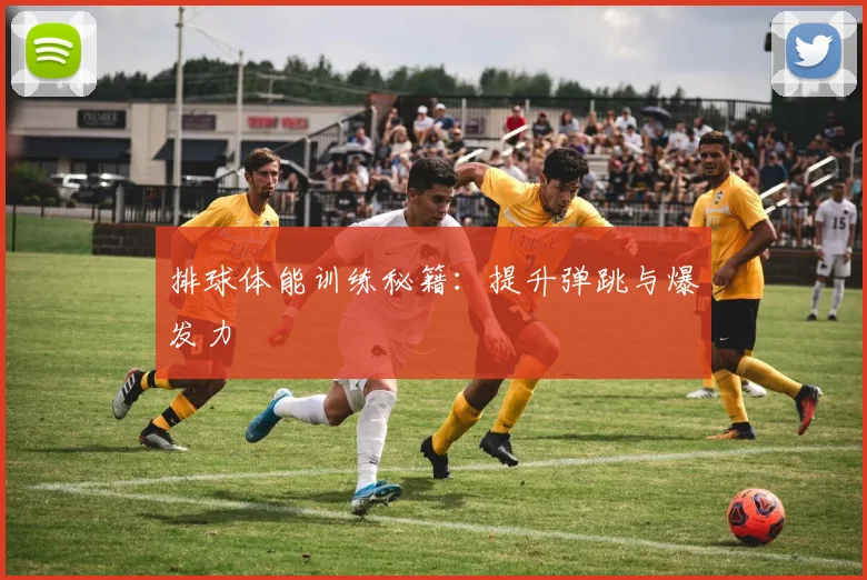 排球体能训练秘籍：提升弹跳与爆发力