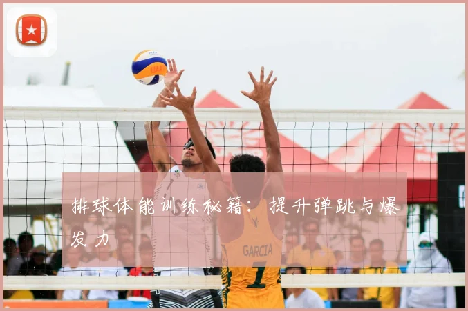 排球体能训练秘籍:提升弹跳与爆发力